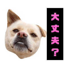 kaito_20220815171653