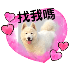 多毛動物