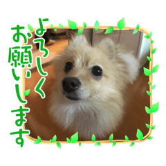 ga_saka_20220815211522