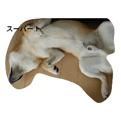 Dan_20220815200404