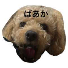 NATSUMI_20220815221505