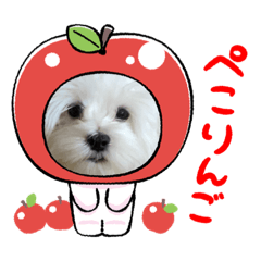 Smile_20220815231015