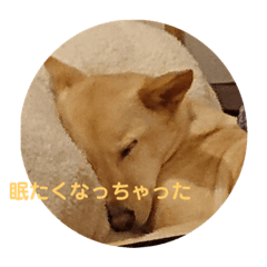 ayano_20220815234344