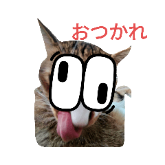aoi_20220816002145