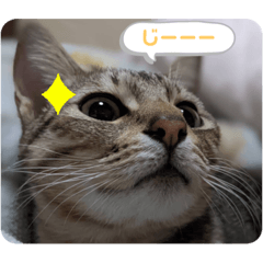 omochi_20220816001946