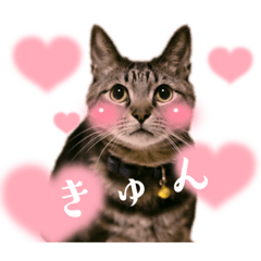 shiho_20220816040835