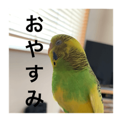 Mizuki_20220816094703