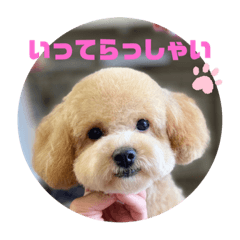 rina_20220816065315