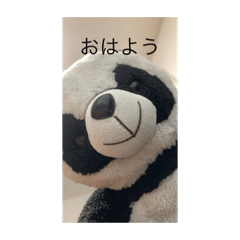 Panda_20220815134356