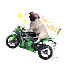 Phayabs_20220816114132