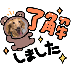 YUKA_20220816171238