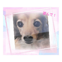 rinrin_20220816182119