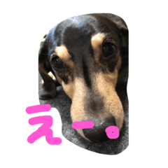 dasakunai
