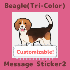 Beagle(Tri-Color) - msg(en) 2
