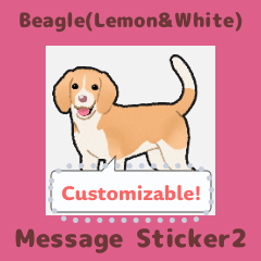 Beagle(Lemon&White) - msg(en) 2