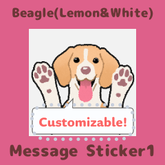 Beagle(Lemon&White) - msg(en) 1