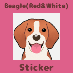 Beagle(Red&White) (en)