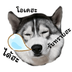 THUNGTUNG FAMILY_20220817004314