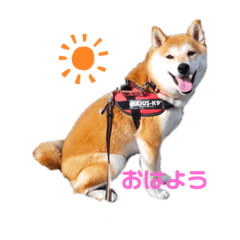 arisa_20220816224719