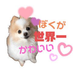 saori_20220817000724