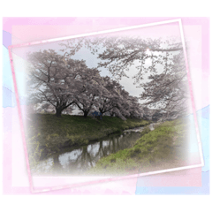 AOI_20220816174949