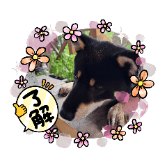 MATSUu_20220817012252