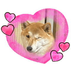 arisa_20220816231820