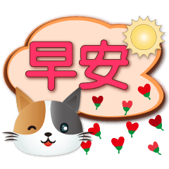 Cute Calico cat-Daily Practical Dialog
