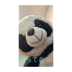 Panda_20220816193000