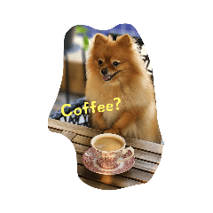 Latte so cute