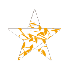 Colorful STAR_07