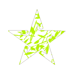 Colorful STAR_06
