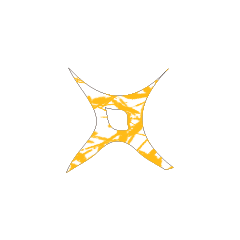 Colorful STAR_10