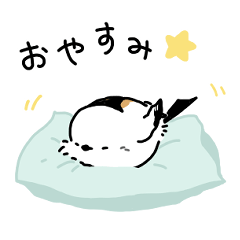 Fluffy Shimaenaga-everyday life-