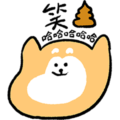 achai_shiba