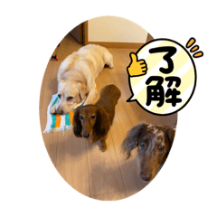 yuka_20220817200243