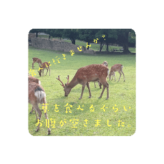 Aoi_20220817204851