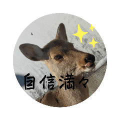 Aoi_20220817193556