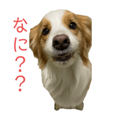 Hana_20220817193241