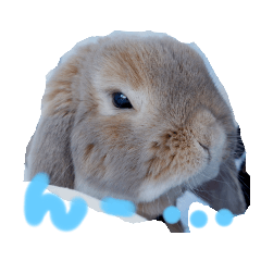 kinaco_20220817223303