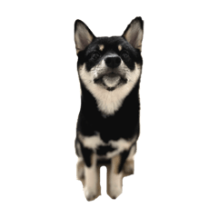 omo_20220817232105