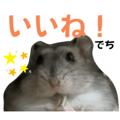 manmaru_1