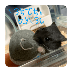 SUZU_20220817214319