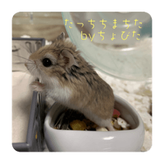 SUZU_20220817215628