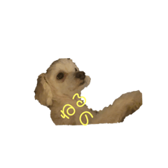 MIZUKI_20220818042219