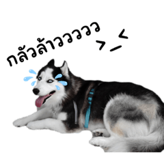 THUNGTUNG FAMILY_20220817235917