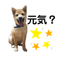 yuka_20220818113032