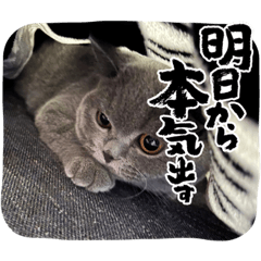 omochi_20220817220614