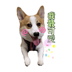 當少爺好累-1