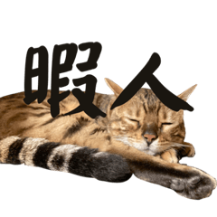 mizuki_20220817224728